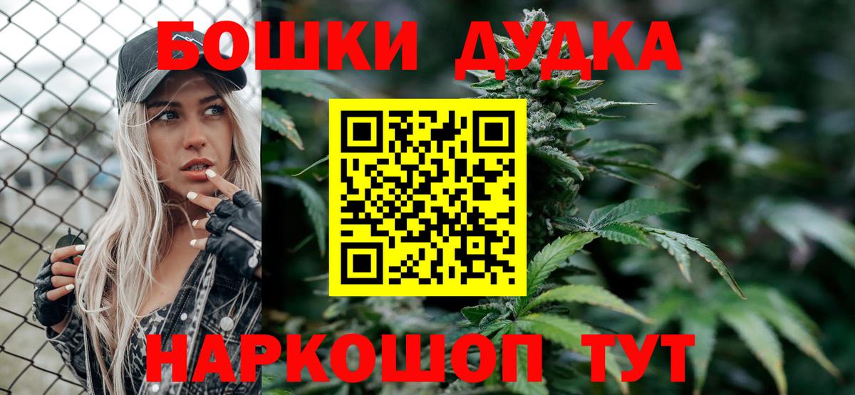 Конопля гибрид Щёкино